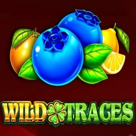 Play the Wild Traces slot by Amusnet Interactive on Lolospin Casino